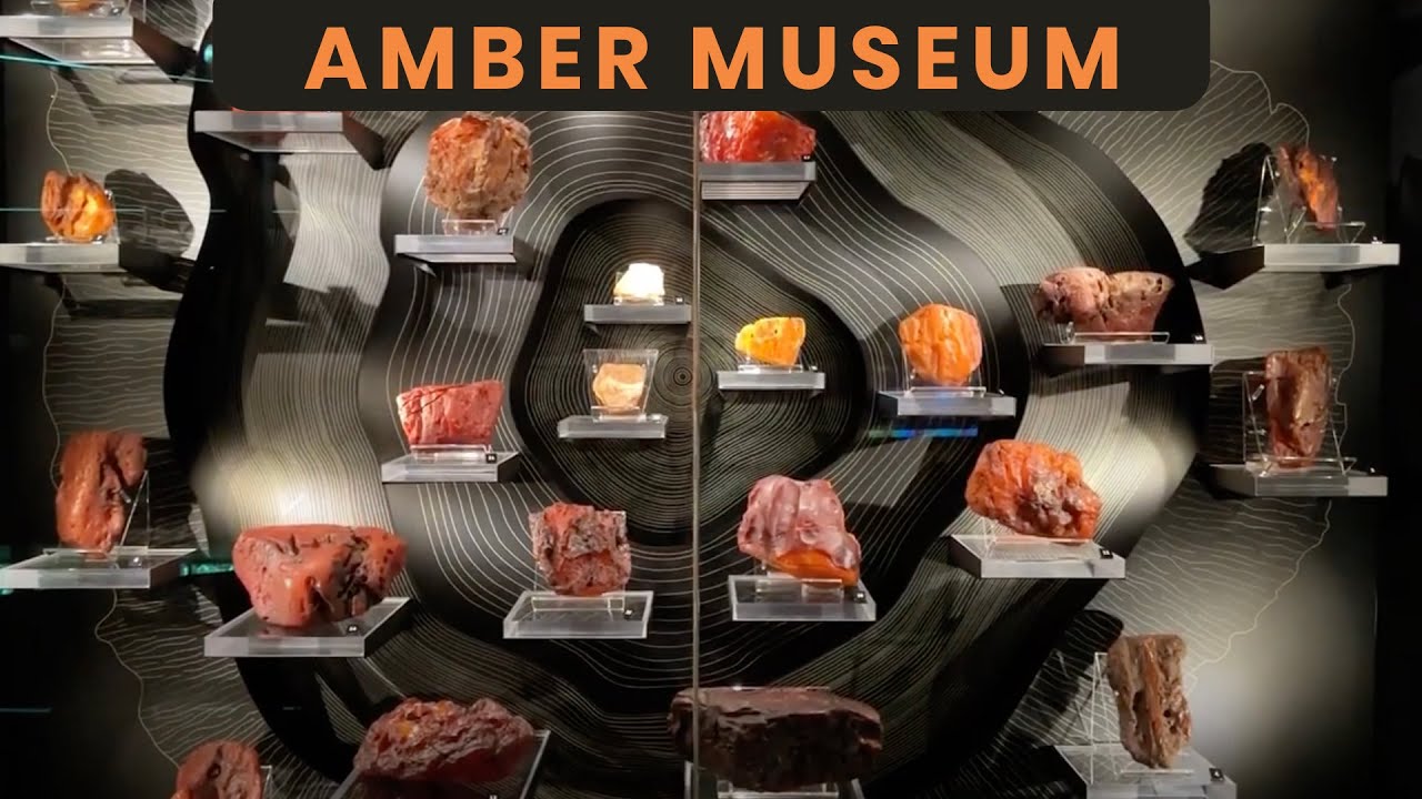 Gdansk, Poland 🇵🇱 | Amber Museum, Discover the Baltic’s Golden Secret!