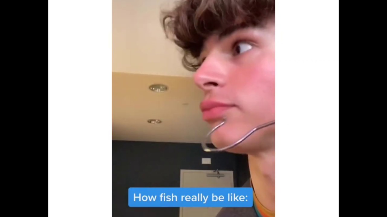 How fish really be like 😂 trending now on Tiktok