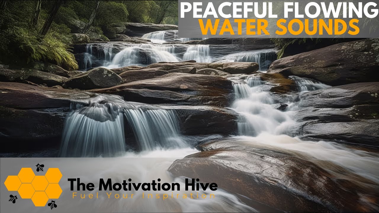 Forest WATER FOUNTAIN Relax & Get Your Zen On whitenoise sleep YouTube