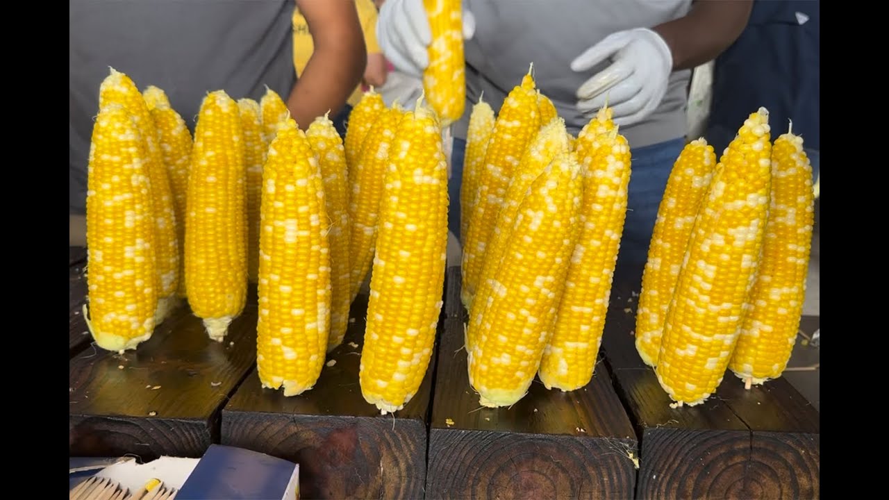 T.A. Walker puts on the Sweet Corn Festival mascot costume