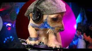 dj-tooneroo el nuevo talento.wmv