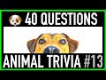 ANIMAL TRIVIA QUIZ #13 - 40 Dog Trivia Questions and Answers | Dogs Pub Quiz