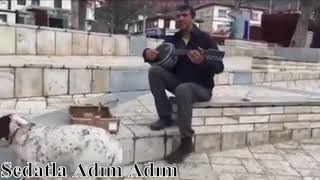 Sedatla Adım Adım - Çok Efkarlı Bir Şarkı - Sevemedim Karagözlüm Hoşt Versiyon :) Resimi