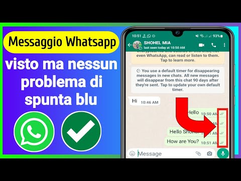 COME RISOLVERE Messaggio Whatsapp visto ma nessun segno di spunta blu