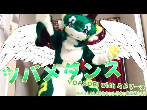 【着ぐるみ】ツバメダンス(YOASOBI with ミドリーズ)  Kemono Kigurumi Dance Video