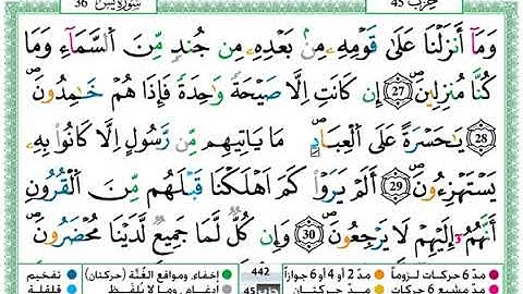 سورة يس مكتوبة / حمزة الجزائري