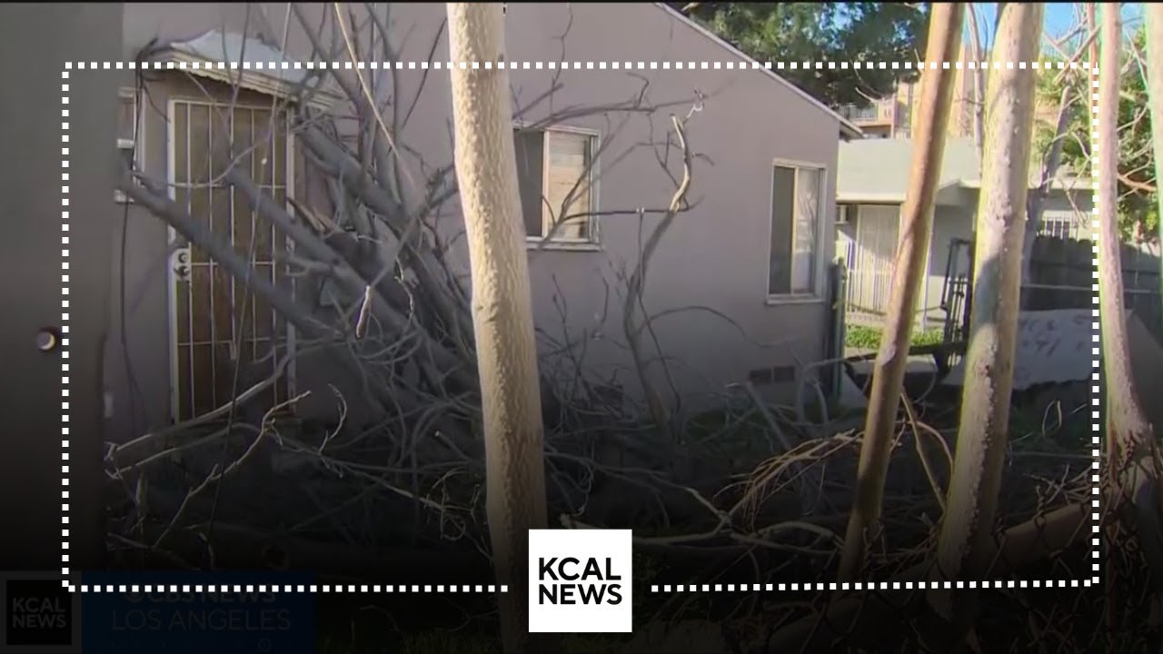 Angelenos bracing for another round of whipping winds over weekend ...