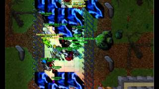 level 131 killed silvera tibia