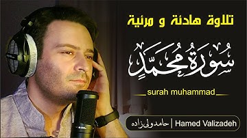 لحظات مليئة بالسلام سورة محمد تلاوة هادئة مرئیة حامد ولی زادة