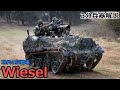 【3分兵器解説】ドイツ陸軍空挺戦闘車 ヴィーゼル ~現代に蘇った豆戦車~
