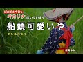 【 船頭可愛いや 】NHKの朝ドラで流れるこの曲。なぜか耳の残る。無伴奏で吹いてみた。音域も広く難しかった。#0065
