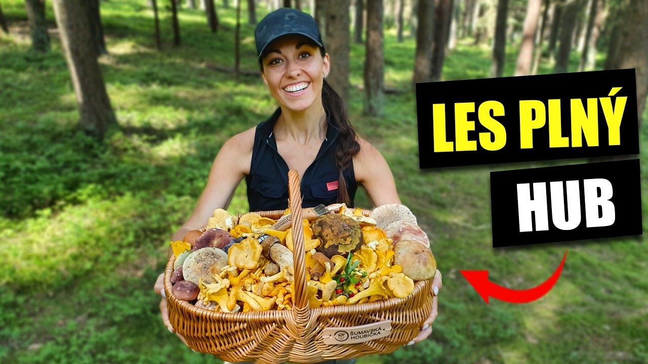 Houbařská euforie na Šumavě! Ryzec černohlávek, hřib žlučník, krásnopórka žemlička.