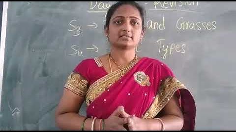 Date:10-03-2021 Class: 3 Subject Science Revision day -8