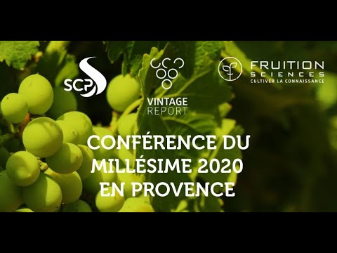 Replay - Conférence du millésime 2020 en Provence