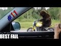 ПОДБОРКА ПРИКОЛОВ|Jokes Fail Compilation #11 Приколы Август 2015 приколы жесть ржака угар ржач