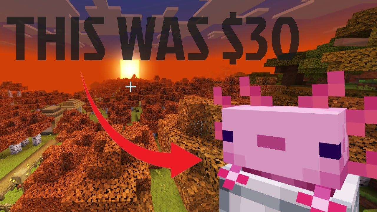 Minecraft's $30 Texture Packs - YouTube