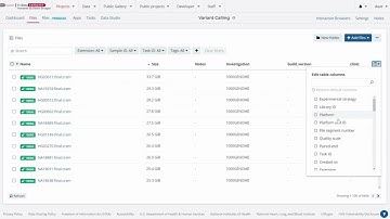 BioData Catalyst-SB Platform: File Management with Folders and Metadata