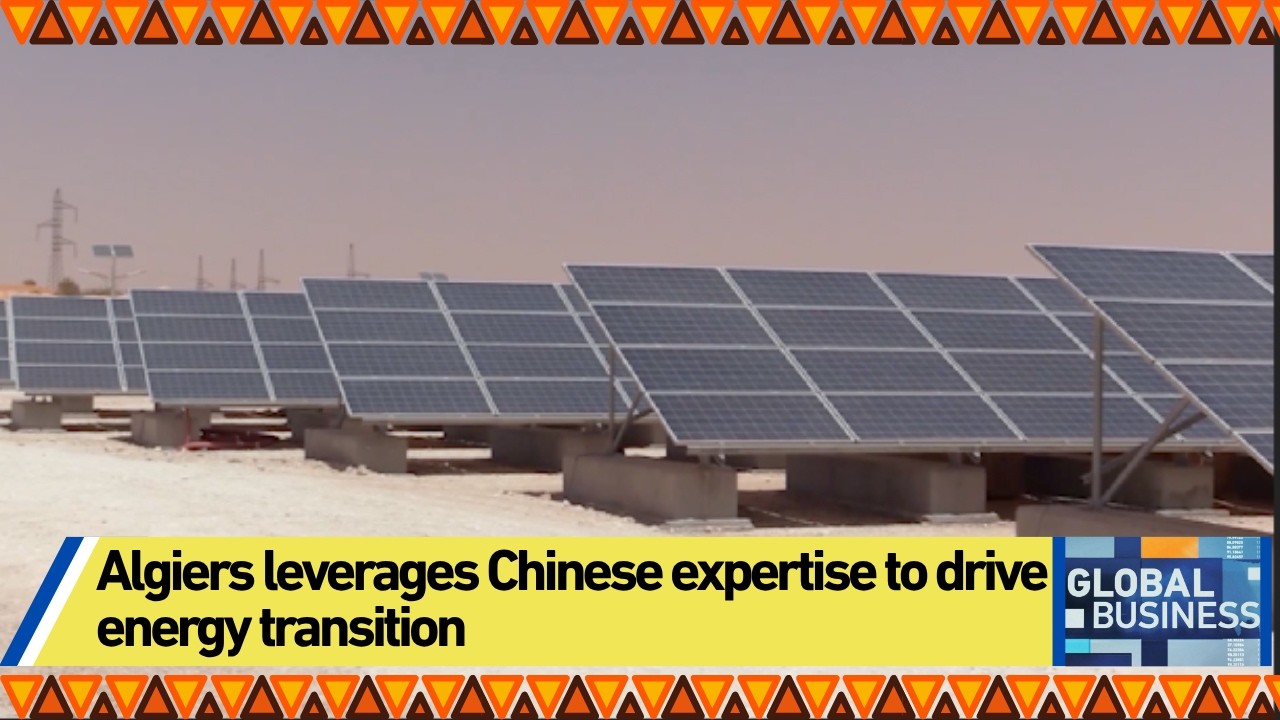 Algiers leverages Chinese expertise to drive energy transition