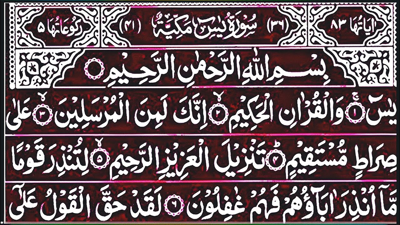 Surah Yasin Surah Rahman | Beautiful Recitation Surah Yaseen Surah Rahman Full | Quran Tilawat | 210