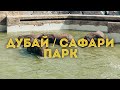 Дубай 2020 / НОВЫЙ Сафари парк в Дубае /