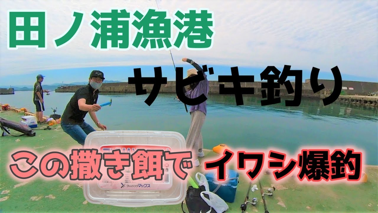 和歌山　田ノ浦漁港　【サビキ釣り】この撒き餌でイワシ爆釣