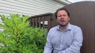 Dr. David Costello "Daily Cumulative Review"