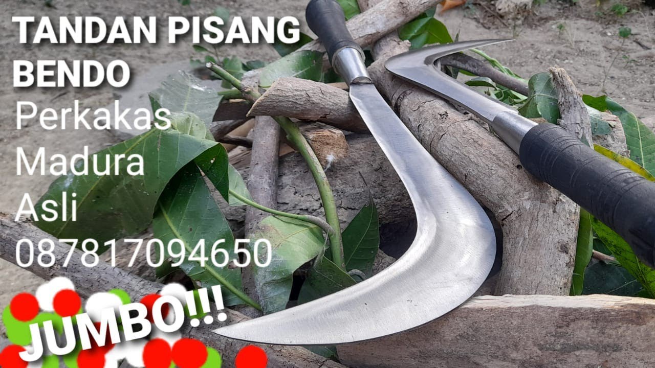 Tandan Pisang Jumbo | Bendo | Perkakas Madura Asli