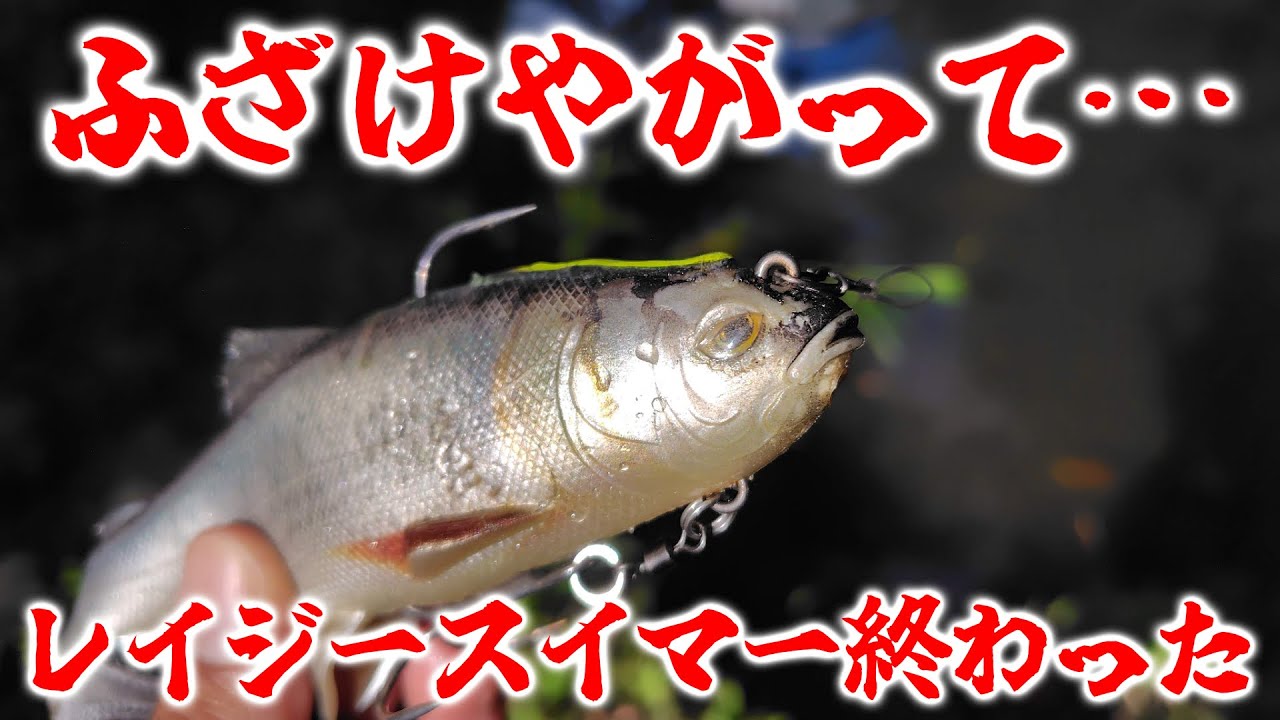 【注意喚起】マジで弁償しろ！釣り人にとって「最大の敵」と遭遇した【バス釣り/レイジースイマー6インチ】