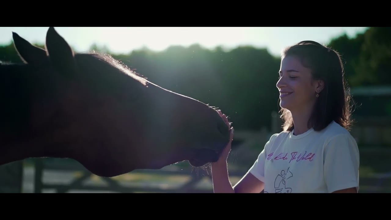 Akhal / Créateur de soins pour chevaux