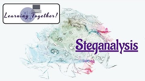 Steganalysis #13
