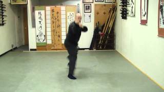 Tenryaku No Maki Muto Dori Taihenjutsu