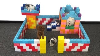 DIY - How To Build Dog House For Pomeranian Puppies From Lego Block Toy | Cute Kitten | MR PET #50