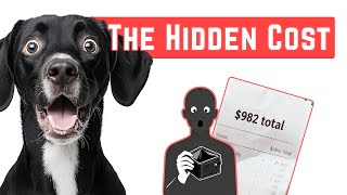 Hidden Costs of Owning a Dog 🐾💸 Dog Cost | USA #usa #pets