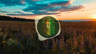 Lomez Brown feat Lion Rezz - Magic Potion (Official Audio) chords