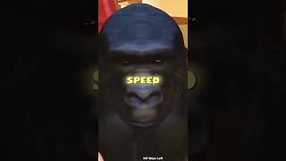  Bro Got Violated By A Child