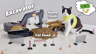 Cat Agreed to Work for $10,000 💰💰💰
