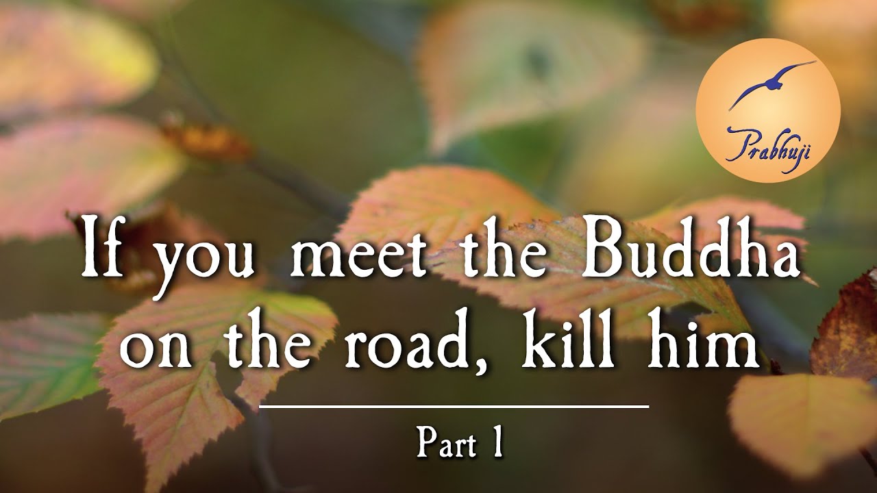 Goot pleegouders Op maat If you meet the Buddha on the road, kill him - Part 1 - Prabhuji - YouTube