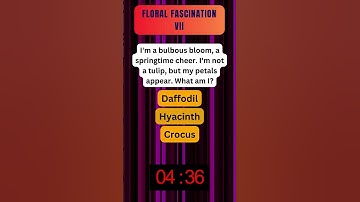 Riddle Unleashed! 🌪️ Dive into the Enigma - Your Ultimate Brain Challenge! 🚀