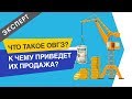 Что такое облигации внутреннего государственного займа [ОВГЗ]?