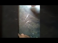 best funny magic video to jealous your friend