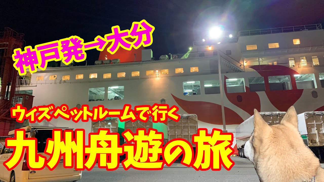 【わんこと女子の船旅🛳】ウィズペットルームで行くさんふらわあ 九州舟遊プランの旅〜神戸→大分編〜2019年12月 Go to Oita by ferry sunflower from Kobe