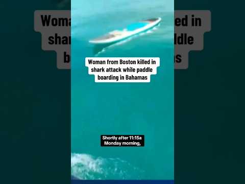 Boston woman killed in shark attack while paddle boarding in Bahamas #shorts