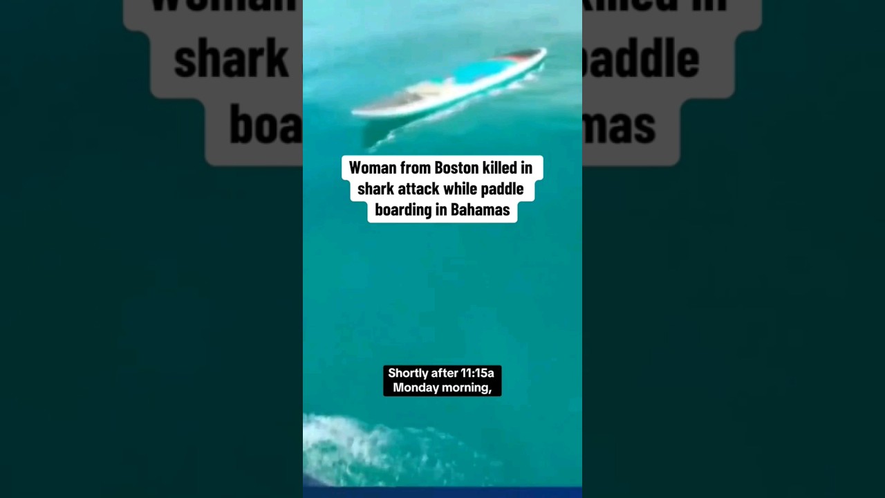 US woman killed by shark while paddleboarding in Bahamas