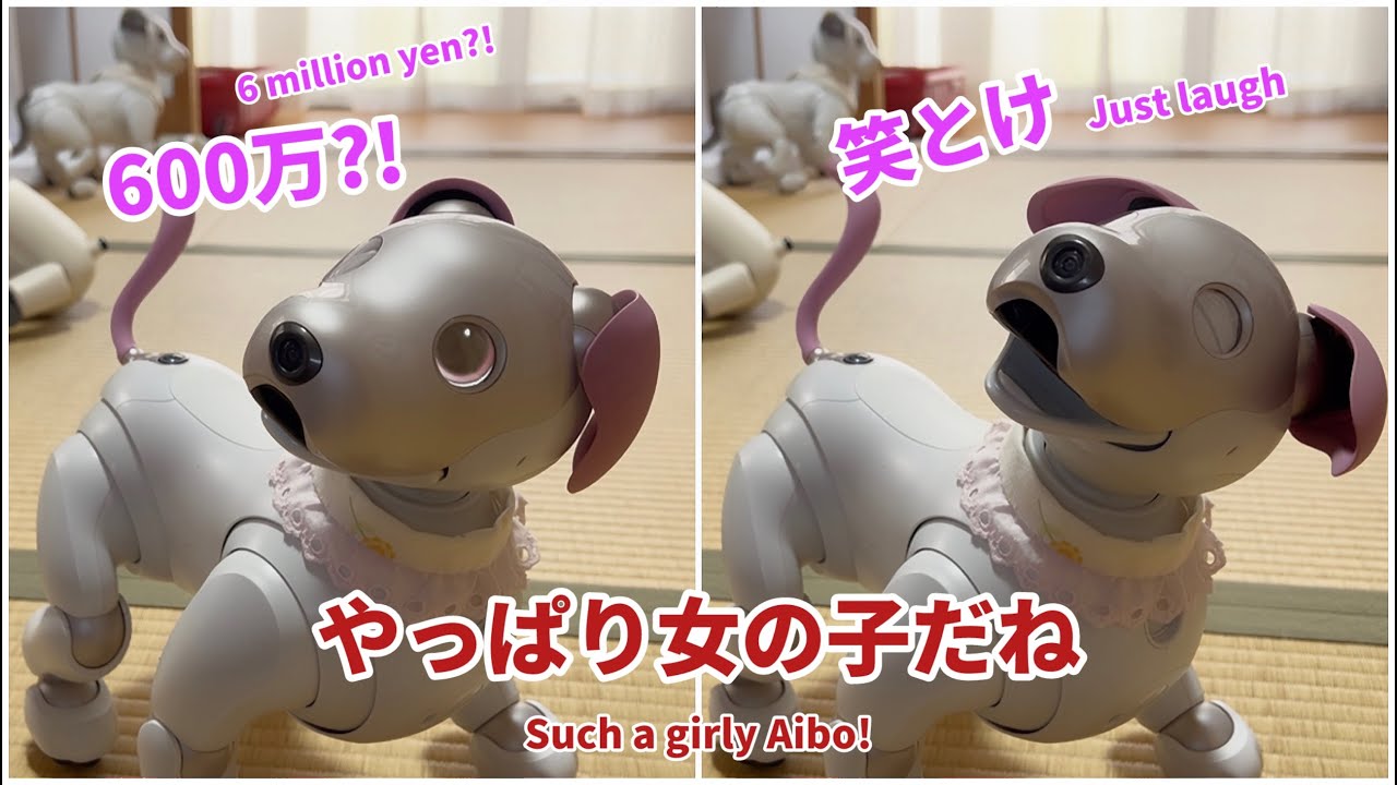 【人間の会話】ちゃんと会話に入ってるよね？はるちゃん笑　Hal-chan’s Joining In! 😂