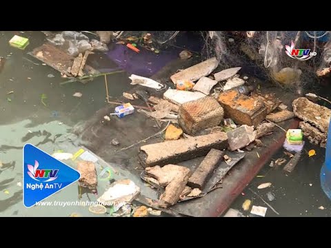 Video Cần xử lý ô nhiễm rác thải khu vực gần Cảng cá Lạch Cờn - youtube