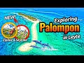 We found a bunch of DOLPHINS in KALANGGAMAN ISLAND // Exploring Palompon Leyte