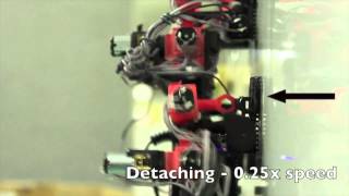 Sticky-Footed Climbing Robot Could Mean Safer Spacewalks for Astronauts Profile