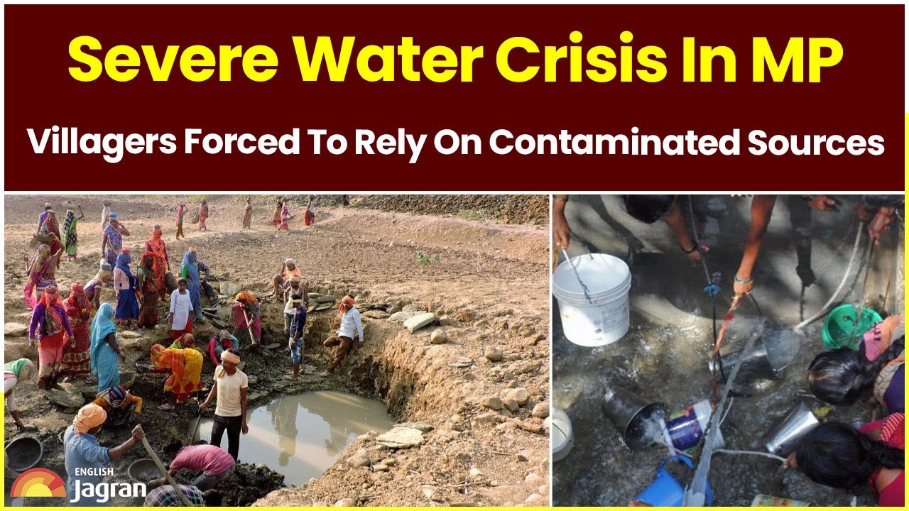 Severe Water Crisis In MP | Villagers Forced To Rely On Contaminated ...