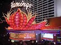 Flamingo Hotel & Casino Las Vegas Renovated Room Tour ...