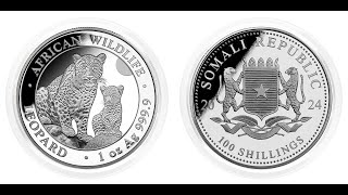 Somalia: 100 Schillings 2024 - 1oz .9999 Ag BU - Leopard